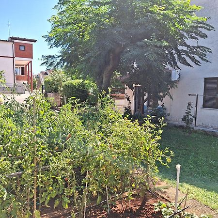 Apartments Reinic Novigrad  Zewnętrze zdjęcie