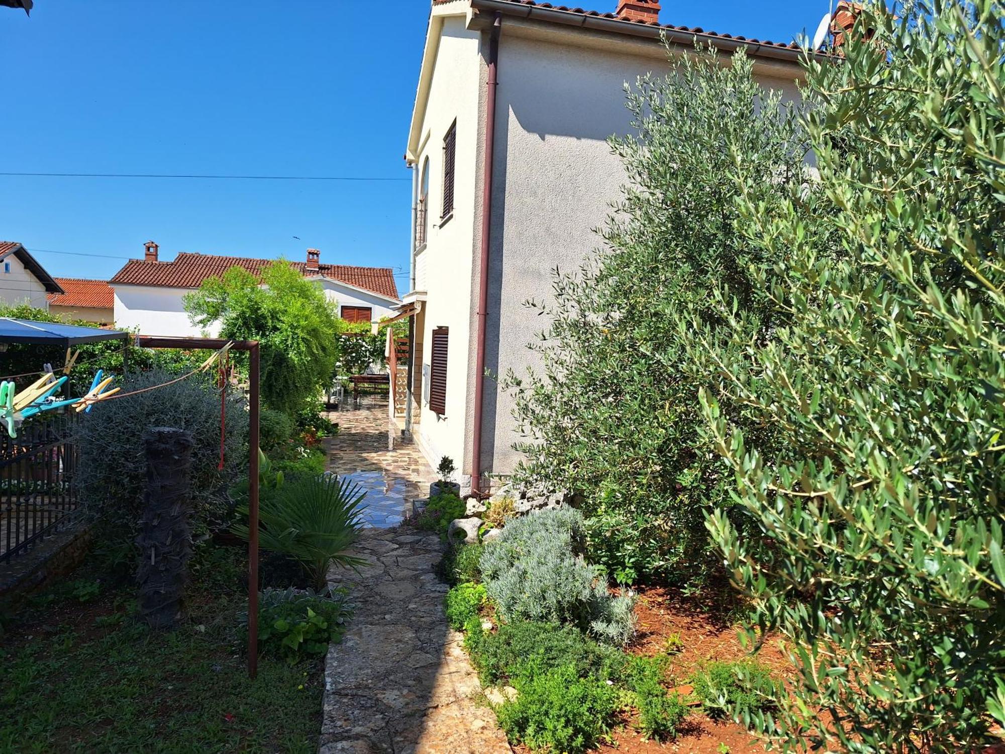 Apartments Reinic Novigrad  Zewnętrze zdjęcie